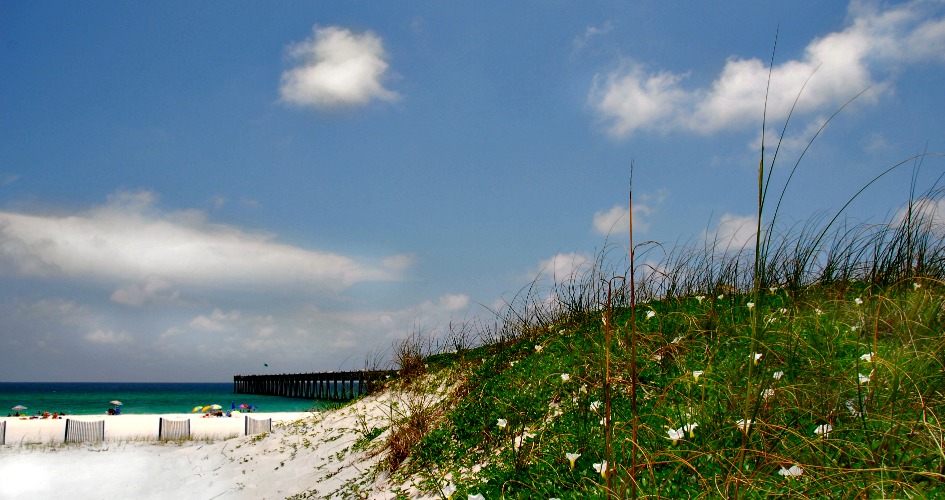 Pensacola beach, grasses, and pier